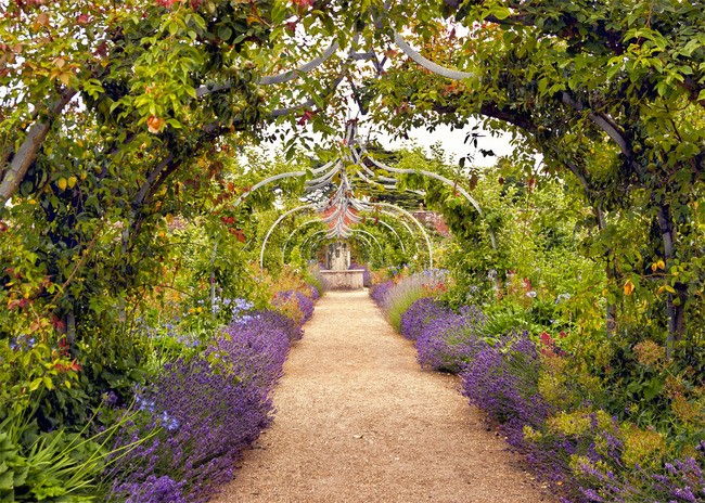 Teun's Tuinposters - Lavendel pad