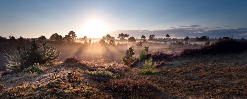 Tuinposter 'Ondergaande zon heide'