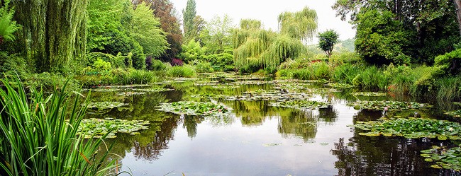 Tuinposter van Vijver met bruggetje