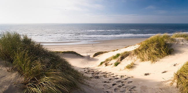 Tuinposter van Duinen panorama