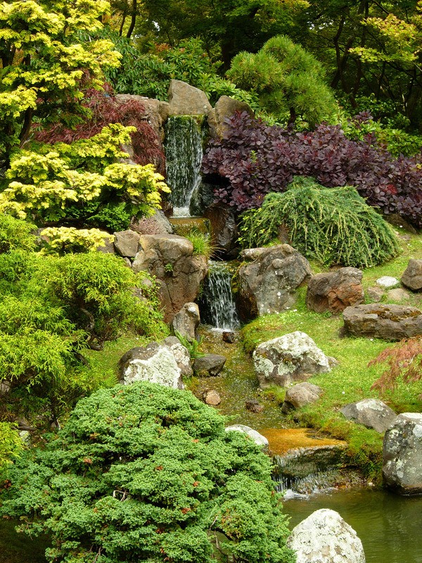 Tuinposter 'Waterval door rijke begroeiing'