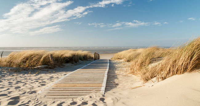 Tuinposter van Pad door duinen