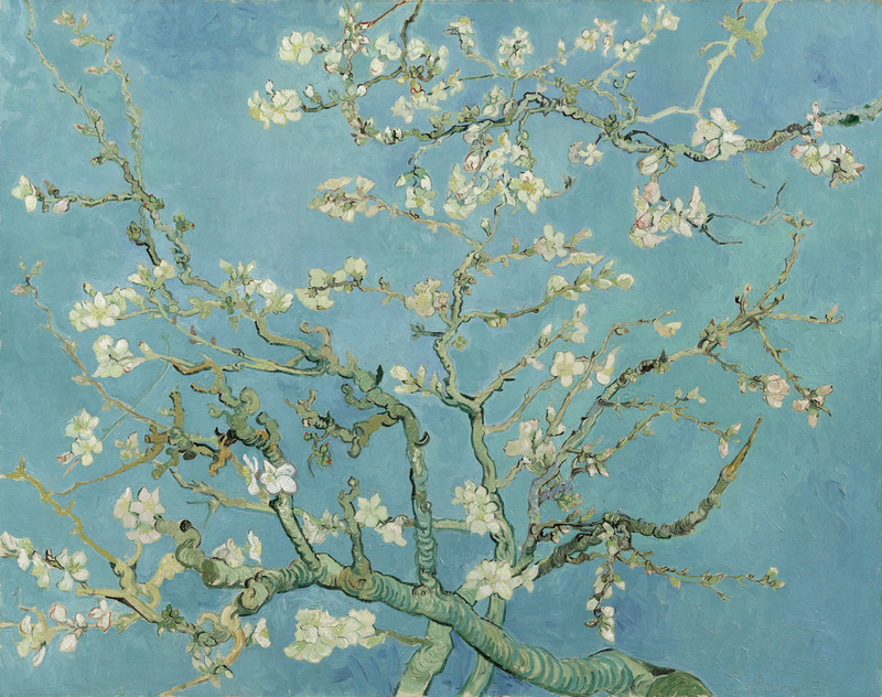 Tuinposter 'Amandelbloesem - Vincent van Gogh'