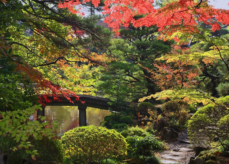 Tuinposter 'Japanse tuin met brug'