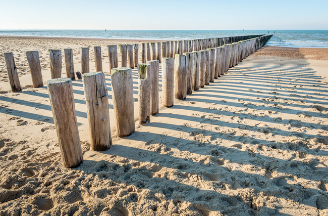Teun's Tuinposters - Strand Teun's Tuinposters - Strand