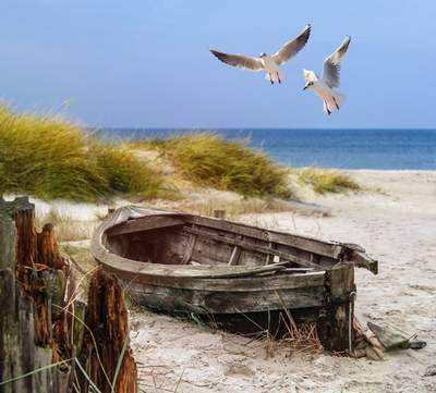 Tuinposter van Boot in de duinen