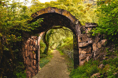 Tuinposter van Muurboog met doorkijkje naar bos