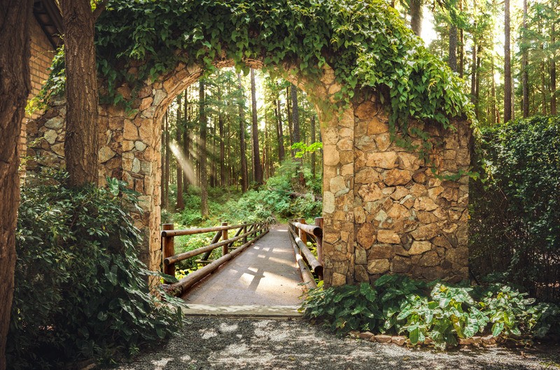 Tuinposter 'doorkijkje naar brug bos'