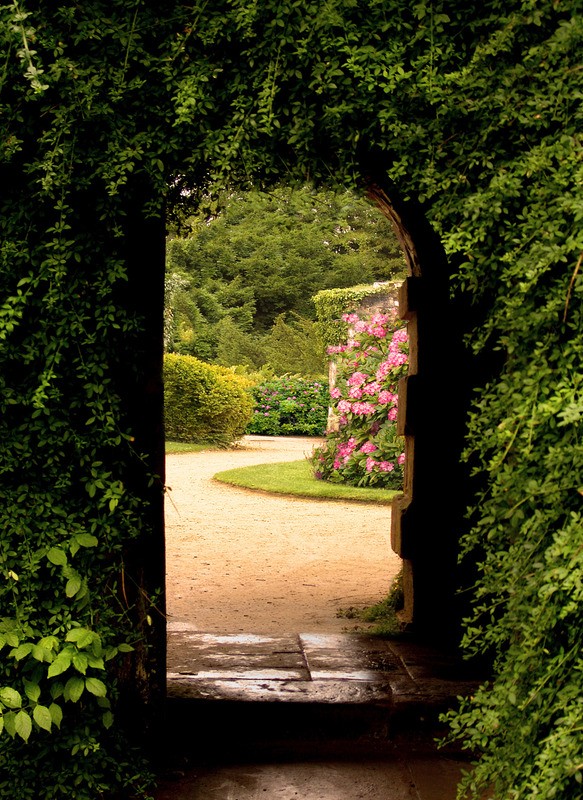 Tuinposter 'Doorkijk groene poort'