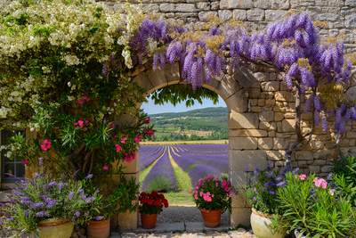 Tuinposter van Oude franse muur