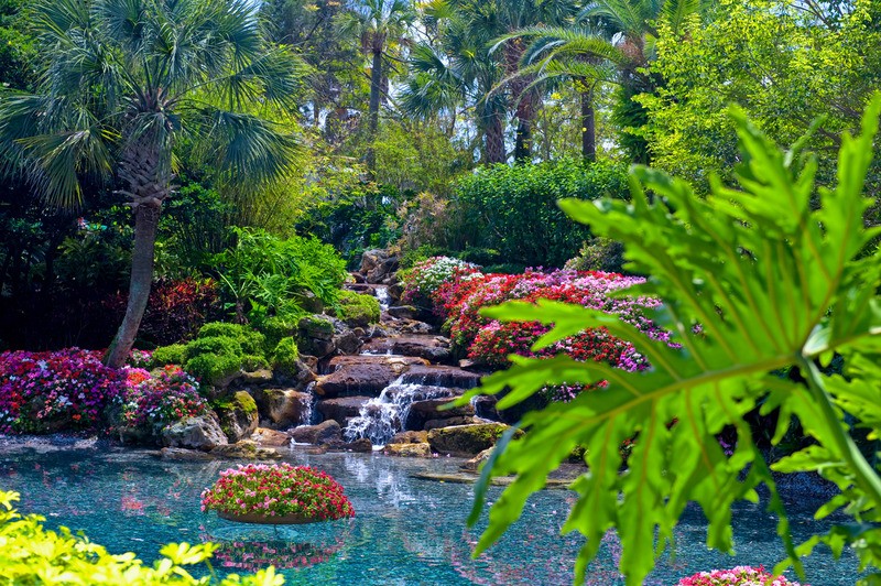 Tuinposter 'Waterval uitkomend op meertje'