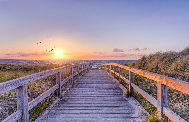 Teun's Tuinposters - Ondergaande zon