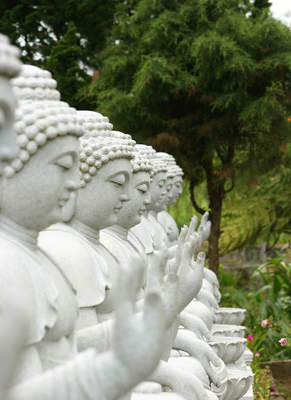 Tuinposter van Boeddha beelden