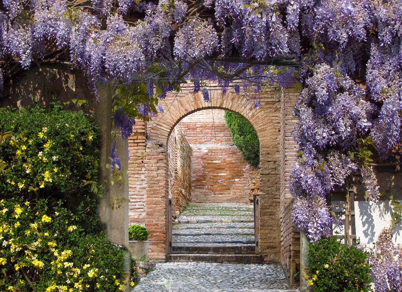 Tuinposter 'Doorkijk met blauwe regen'