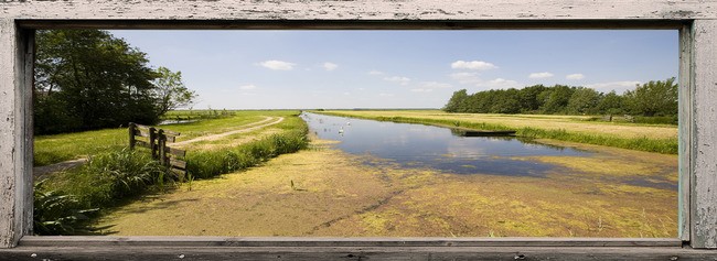 Tuinposter van Raam met noordhollands landschap