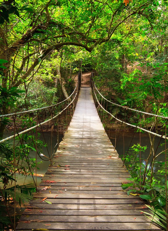 Tuinposter 'Hangbrug'