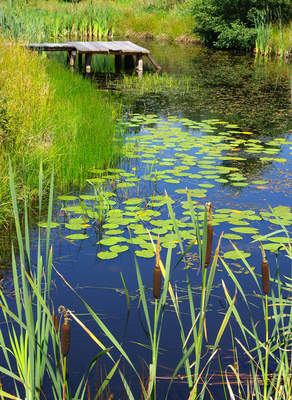 Tuinposter van Hollandse sloot