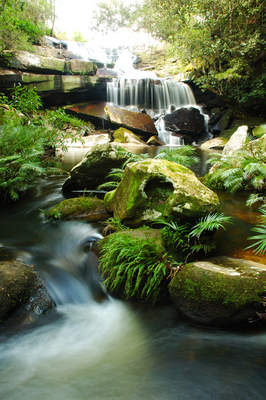 Tuinposter van Waterval / mos