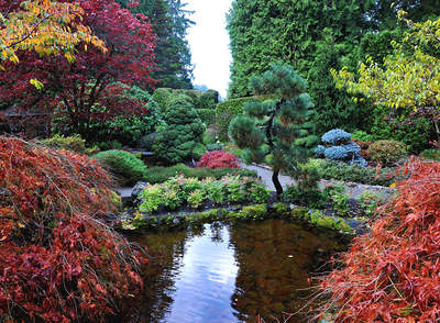 Tuinposter van Japanse tuin