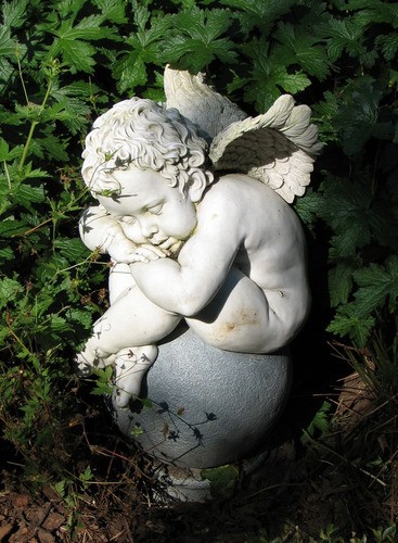 Teun's Tuinposters - Angel II
