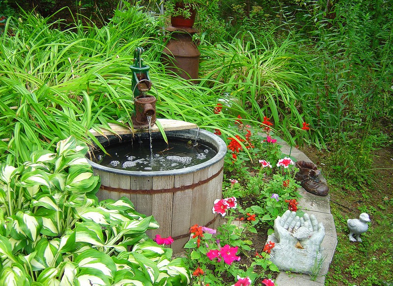 Tuinposter 'Oude waterpomp als vijver met een kikker'