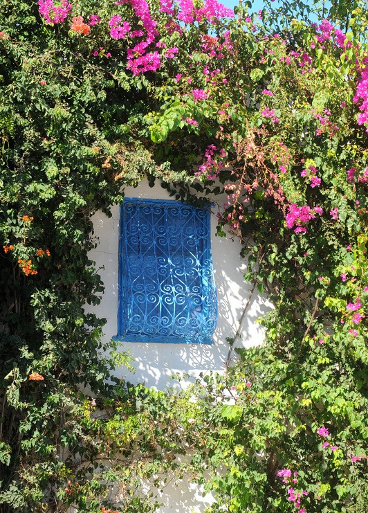 Tuinposter 'Blue window'