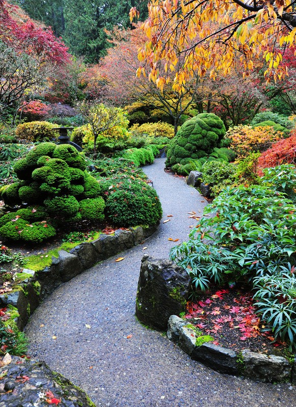 Tuinposter 'Japans pad'