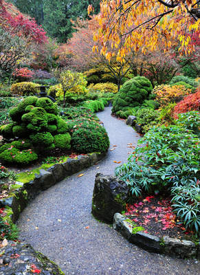 Tuinposter van Japans pad
