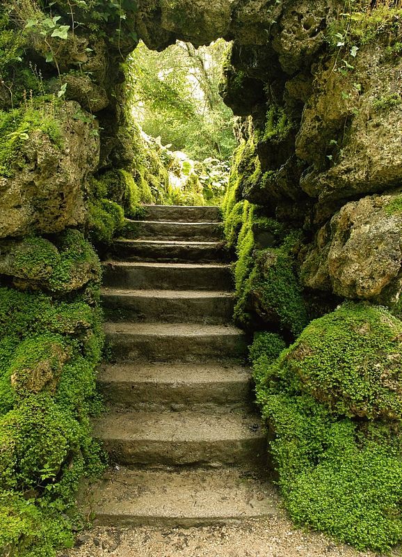 Tuinposter 'Doorkijk via een japanse trap '