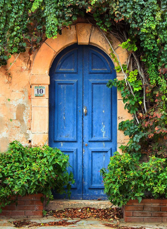 Tuinposter 'Blauwe deur met klimplanten'