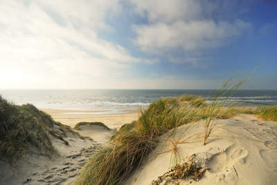 Tuinposter van Duinen