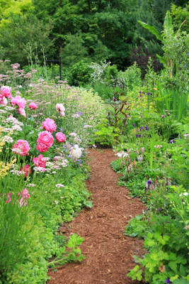 Tuinposter van Wilde tuin