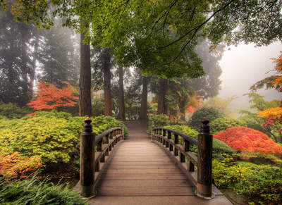Tuinposter van Japanse brug