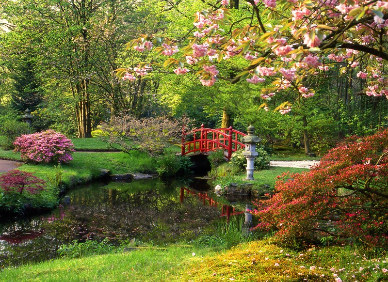 Tuinposter 'Japanse tuin 2'