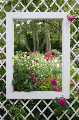 Tuinposter van Doorkijk in trellisscherm